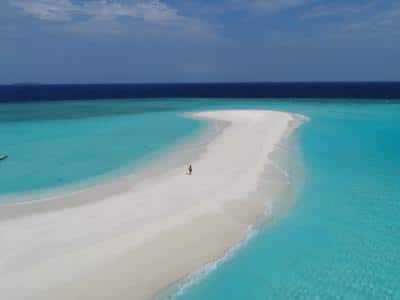 Sandbank