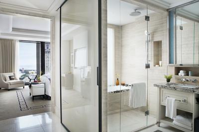 Deluxe Premier Room Bathroom