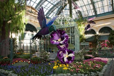 Bellagio Conservatory & Botanical Garden