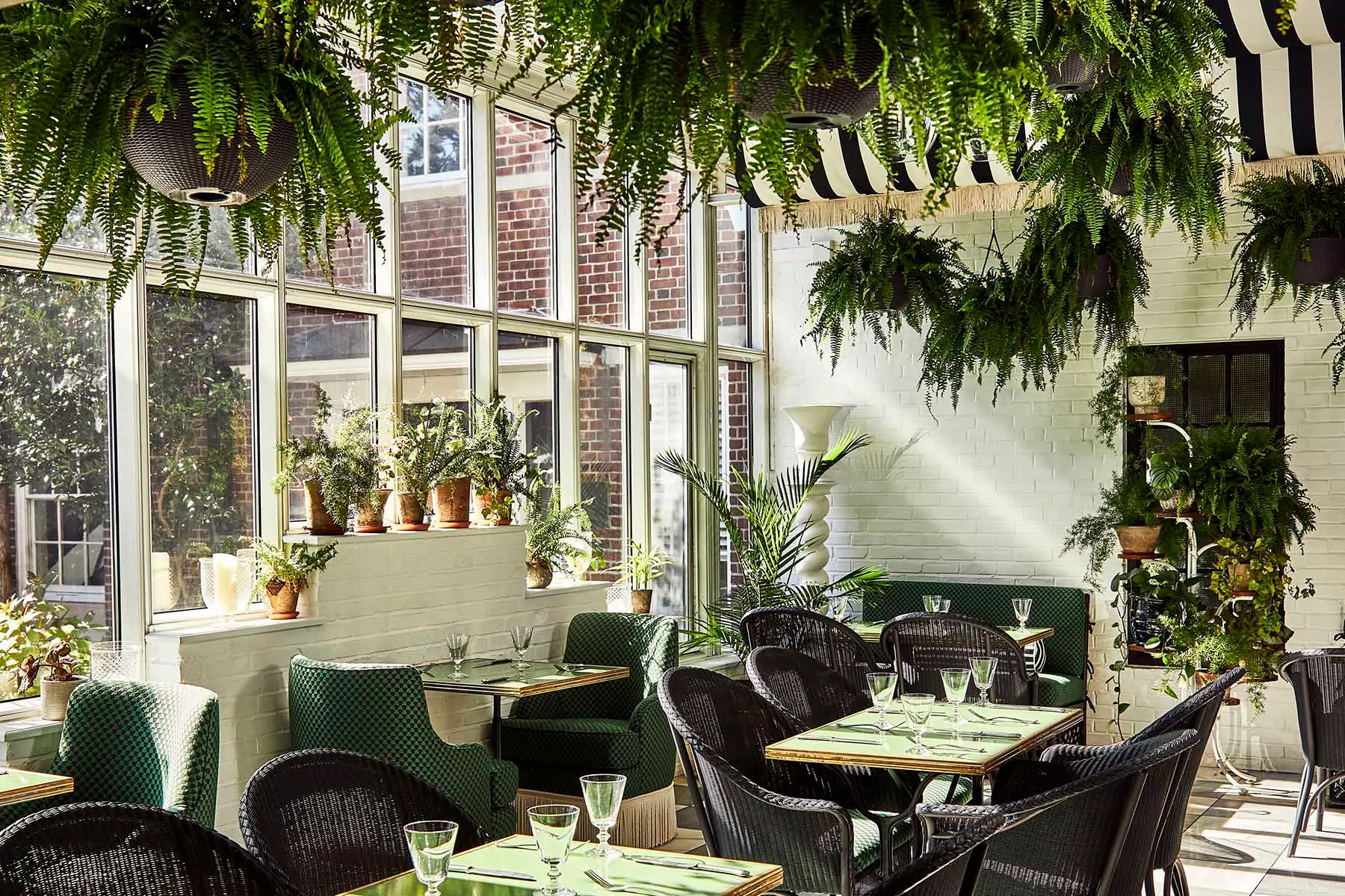 The Conservatory