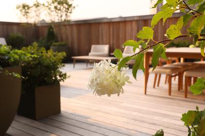 Garden One Bedroom Suite with Grand Patio