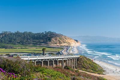 Torrey Pines Reserve Bridge