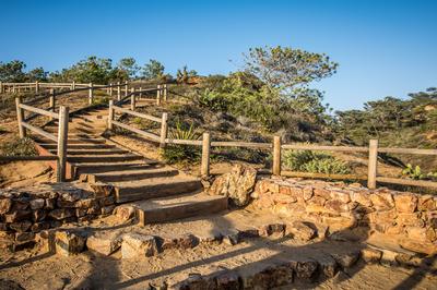 Torrey Pines State Reserve Hike