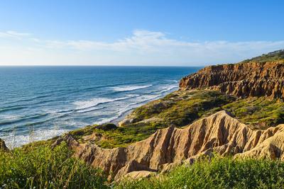 Torrey Pines State Reserve