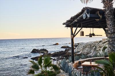 La Palapa