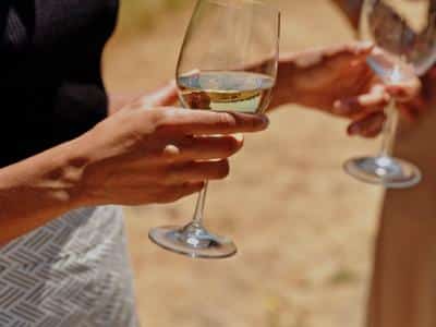 Wine Tasting