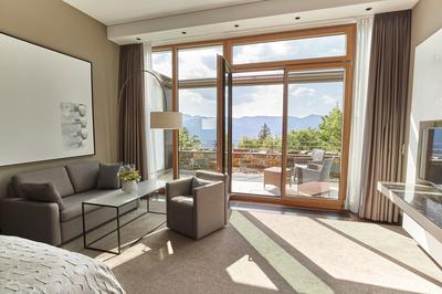 Deluxe Terrace Room