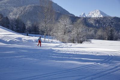 Cross Country Skiing