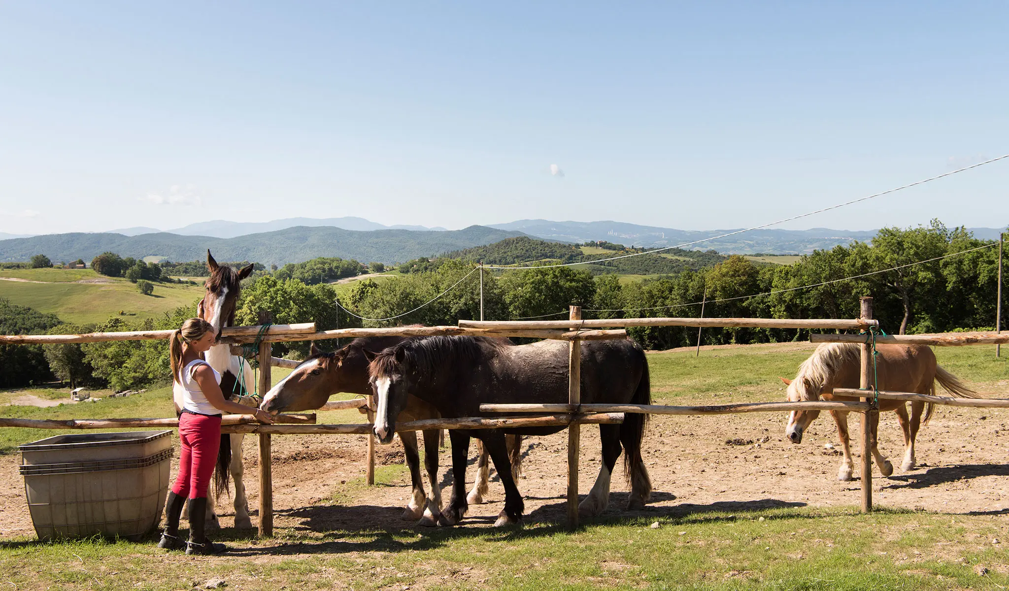 Horseback Riding