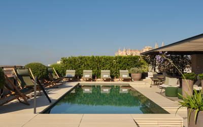 Swimming Pool - Singular Rooftop