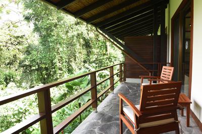 Rainforest Room