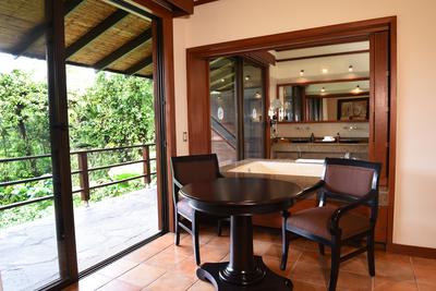 Rainforest Room