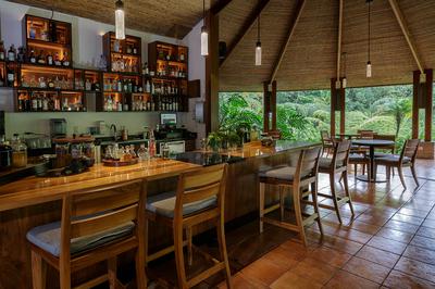 Caña Brava Lobby Bar