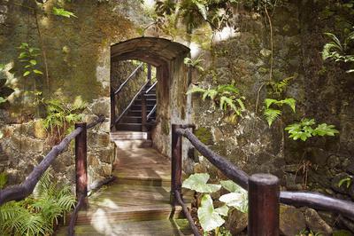 Rainforest Spa
