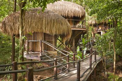 Rainforest Spa