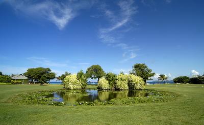 Pond and Garden to the beach