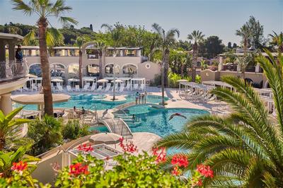 Resort Oasis Pool