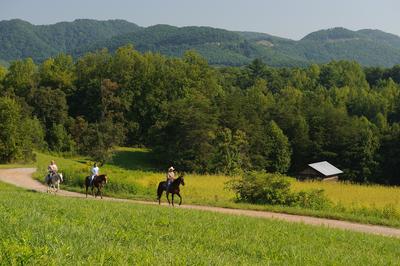 Horse Riding