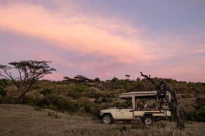 Game Drive
