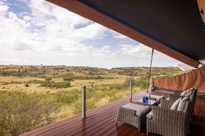 Tented Suite