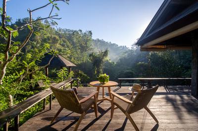 Rainforest Pool Bale
