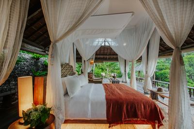 Rainforest Pool Bale