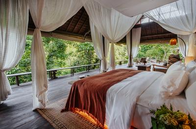 Riverside Jungle Pool Bale