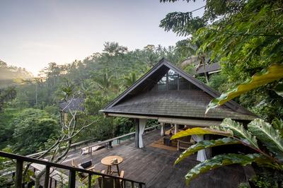 Rainforest Pool Bale