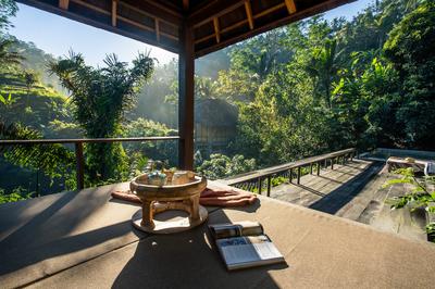 Rainforest Pool Bale
