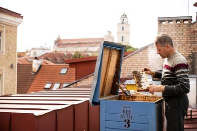 Apiculture on the Rooftop