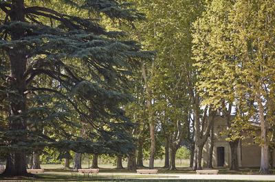 Gardens
