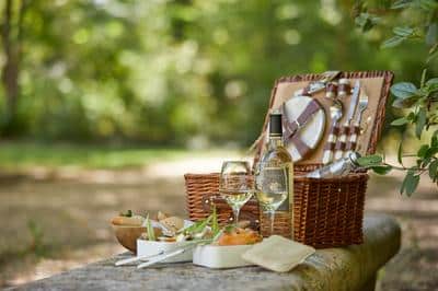 Picnic