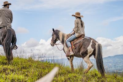 Horse Riding