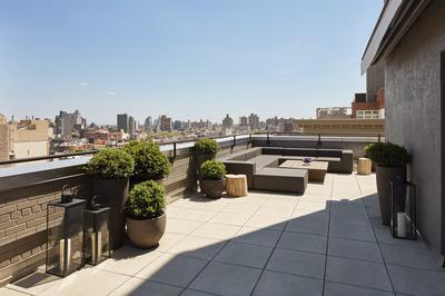 Terrace Suite