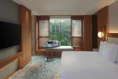 1 King Junior Suite