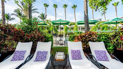 The Vines Trumpet Cabana