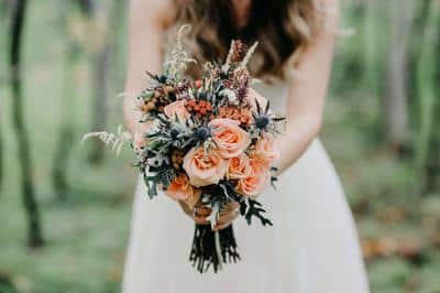 Asheville Weddings