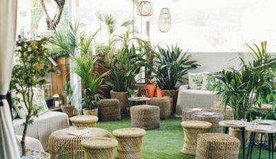 Bar/Lounge