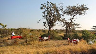 Bush Dining