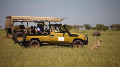 Game Drive
