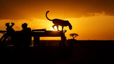 Game Drive