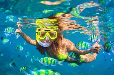 Snorkeling