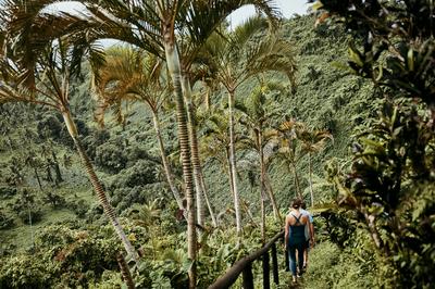 Hiking