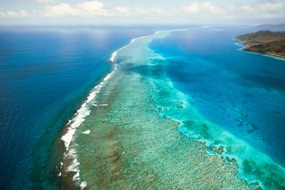 Reef Barrier