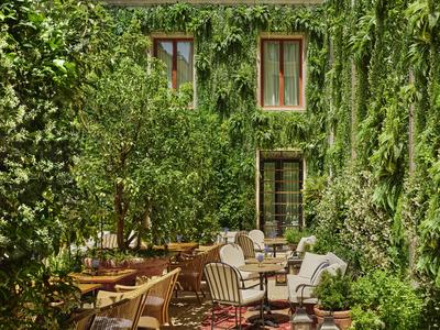 The Garden