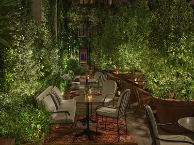 The Garden