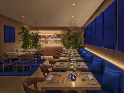 Anima Restaurant