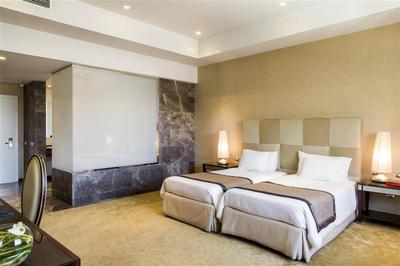 nypalace premium room