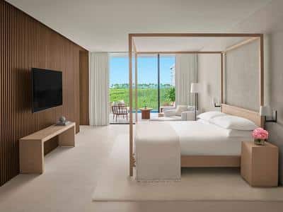 Premier One King Plunge Pool Terrace