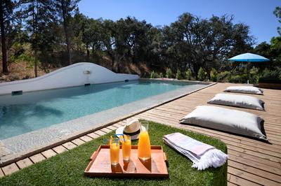 Family Swimming Pool